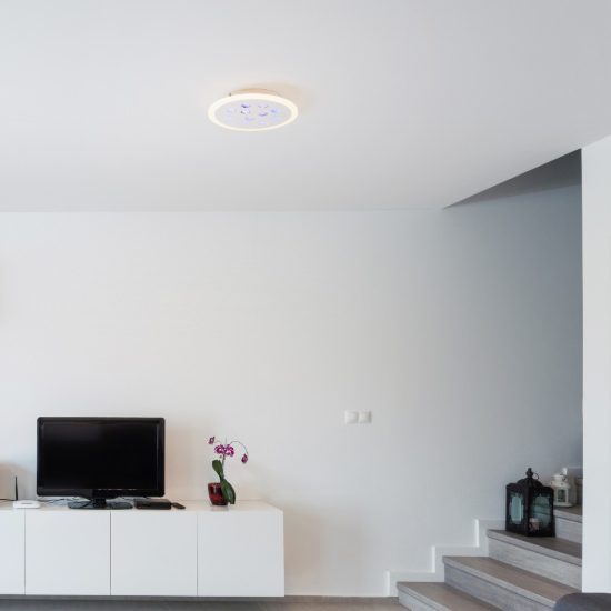 Plafoniera tonda con decoro a foglie led 19w dimmerabile rgb contemporanea bianca