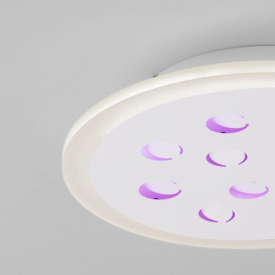 Plafoniera tonda con decoro a foglie led 19w dimmerabile rgb contemporanea bianca