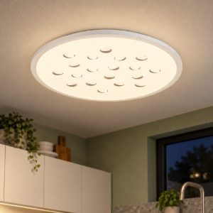 Plafoniera tonda con decoro a foglie led 30w dimmerabile rgb per cucina contemporanea bianca