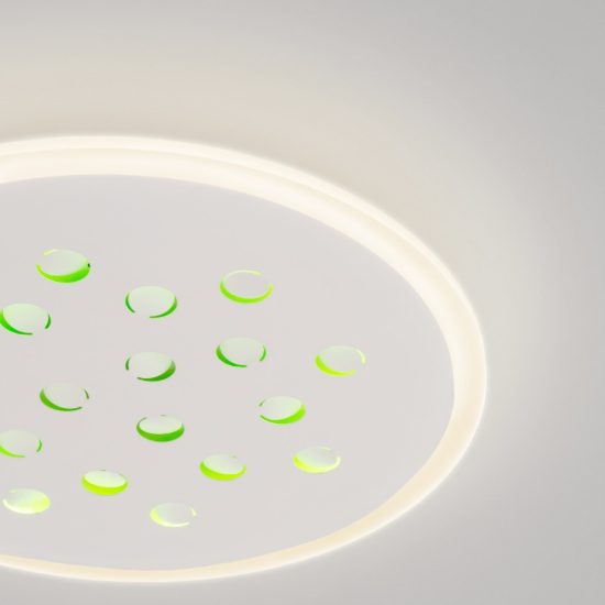 Plafoniera tonda con decoro a foglie led 30w dimmerabile rgb per cucina contemporanea bianca