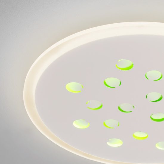 Plafoniera tonda con decoro a foglie led 30w dimmerabile rgb per cucina contemporanea bianca