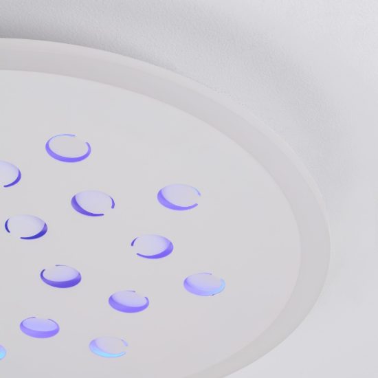 Plafoniera tonda con decoro a foglie led 30w dimmerabile rgb per cucina contemporanea bianca