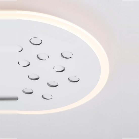 Plafoniera tonda con decoro a foglie led 30w dimmerabile rgb per cucina contemporanea bianca