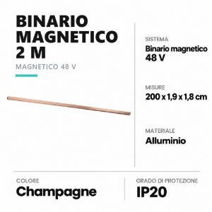 Binario magnetico 48v 2 m champagne