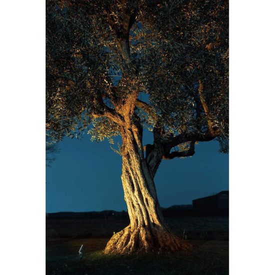 Gea luce ges1130 proiettore da esterno con picchetto a cilindro orientabile grigio antracite ip65