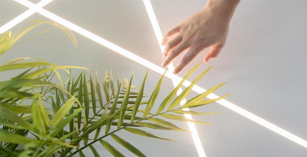 Immagine rappresentativa degli obiettivi di sostenibilità di Belfiore 9010